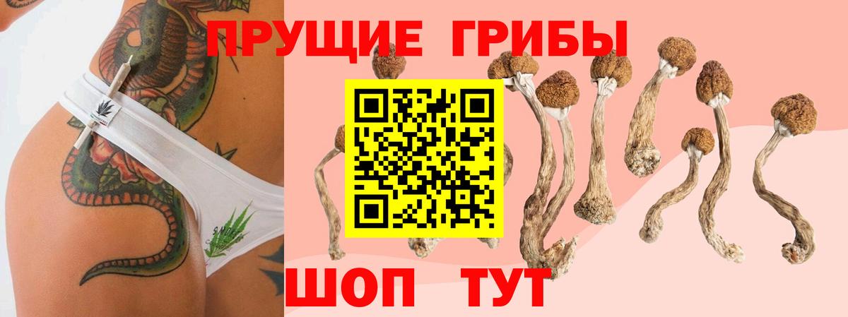 Галлюциногенные грибы ЛСД  Галлюциногенные грибы мухоморы  Апшеронск  Вход с VPN 